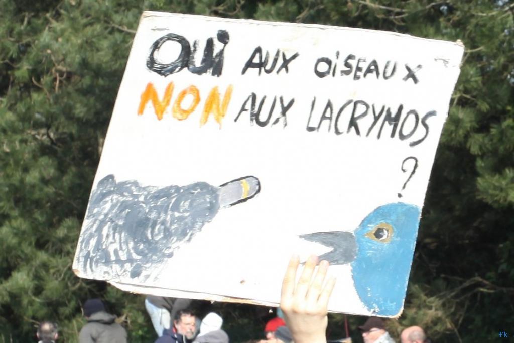 Les opposants à l’aéroport sur la 4 voies Les opposants à l’aéroport sur la 4 voies