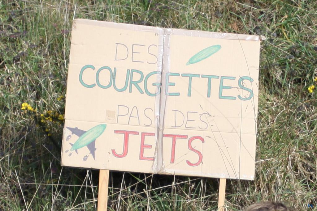 Les opposants à l’aéroport sur la 4 voies Les opposants à l’aéroport sur la 4 voies